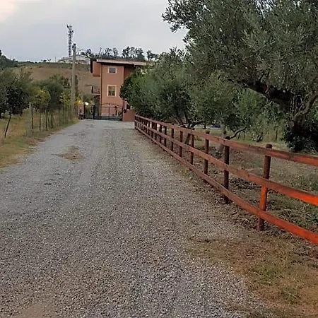Il Feudo 3* Sellia Marina